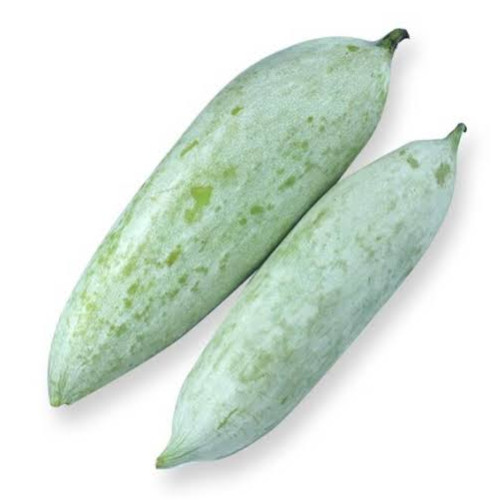 Snake gourd